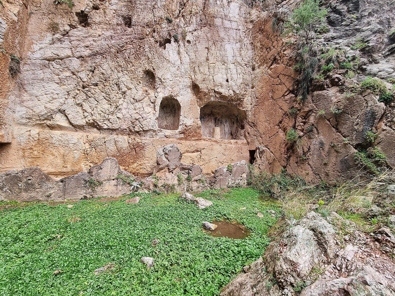 The Castalian Spring